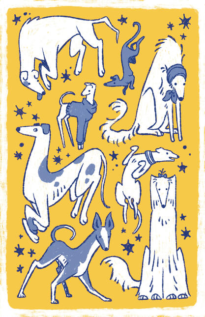 Silly Sighthounds